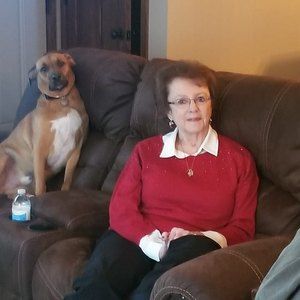 Meet your Posher, Shirley